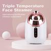 Парогенератор для лица 3 в 1, СПА-распылитель для лица Nano Mist, парогенератор для лица, очищающий распылитель для лица, интеллектуальный салон красоты, увлажнение кожи