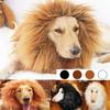 Jumpsuit Lion Modelling Winter Autumn Pet Hat Pet Costume Lion Mane Wig Cap Hat Pet Cosplay Outfits