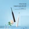 Panasonic EW-DC01-K Sonic Electric Toothbrush CN plug (adapter included)