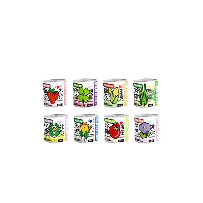 Little Flower Farmer: Inspirational Potted Plant – Desktop Ornament & Children's Planting Toy