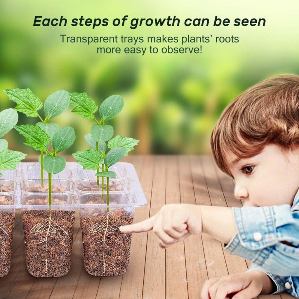 Семена стартовый лоток 6 ячеек/12 ячеек Семена лоток для проращивания с регулируемым вентиляцией влажности Ящик для рассады растений для внутреннего сада Бонсай Саженцы Старт