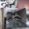 1-20 шт. Уличный зимний чехол для крана, защита от замерзания, изоляционный рукав, водонепроницаемый термозащитный чехол, защита от растрескивания при замерзании