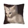 Домашний Декор Мяу Кошка Сова Мем Наволочка Аксессуары Чехол на Подушку Квадратный Разные Размеры