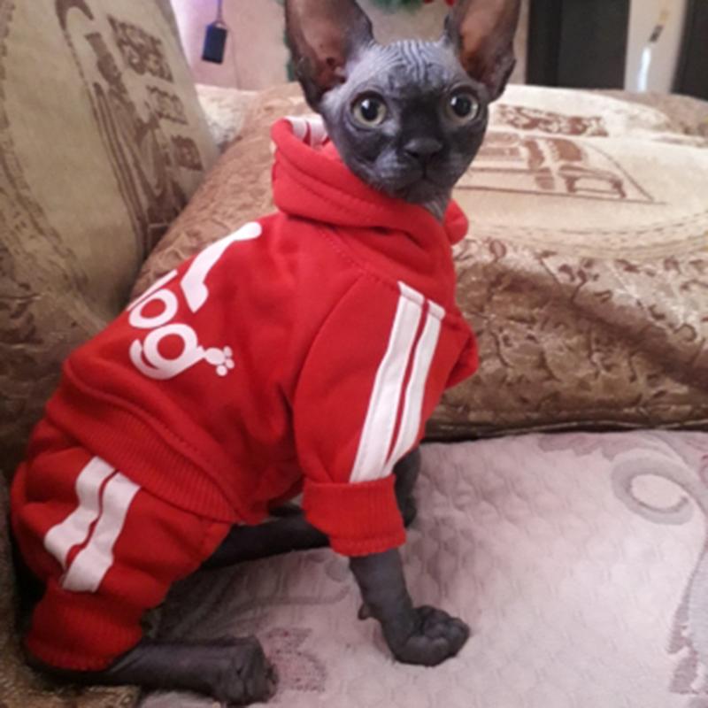 Милый свитер с капюшоном для кошек, зимняя теплая одежда для домашних животных, одежда для кошек, сфинксов, котенков, одежда, Ropa Para gatos Kedi Giyim, товары для домашних животных