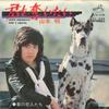 7inch Record AKIRA YAMAMOTO - Kimi Wo Ubaitai / Haru No Koibito T SV1229 VICTOR 1975 Japan Japanese Pop/Rock Used