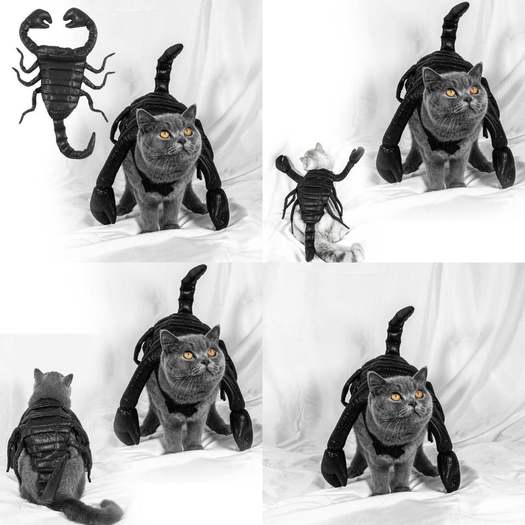 Unique Halloween Pet Costume Funny Scorpion King Outfit For Cats And Dogs Black Cloth