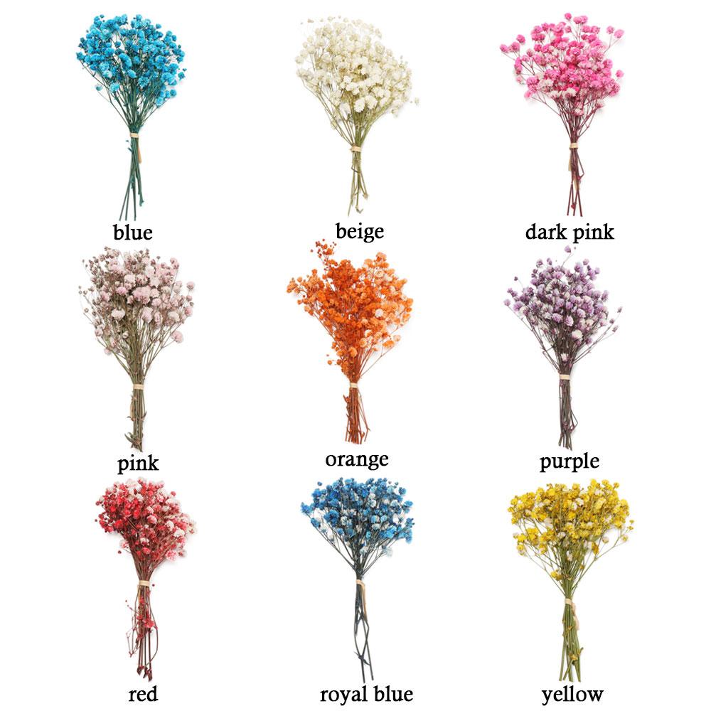 Натуральные Материалы Домашний Декор Живые Цветы Мини Гипсофила Натуральные Сушеные Букеты Растительные Стебли