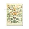 Adolphe Millot Encyclopedia Poster Fruit Botanical Mushrooms Herbs Flowers Canvas Paintings Print Vintage Wall Art Room Decor