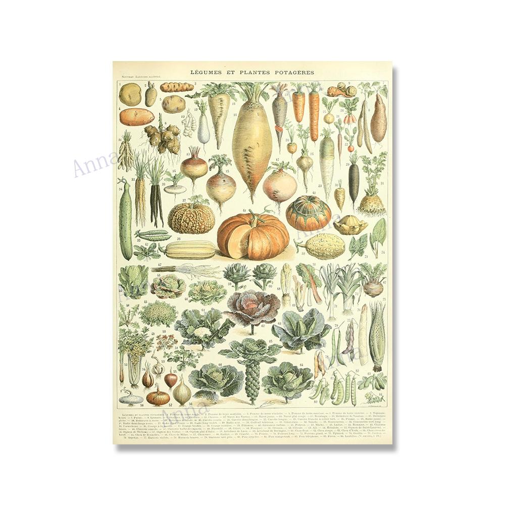 Adolphe Millot Encyclopedia Poster Fruit Botanical Mushrooms Herbs Flowers Canvas Paintings Print Vintage Wall Art Room Decor