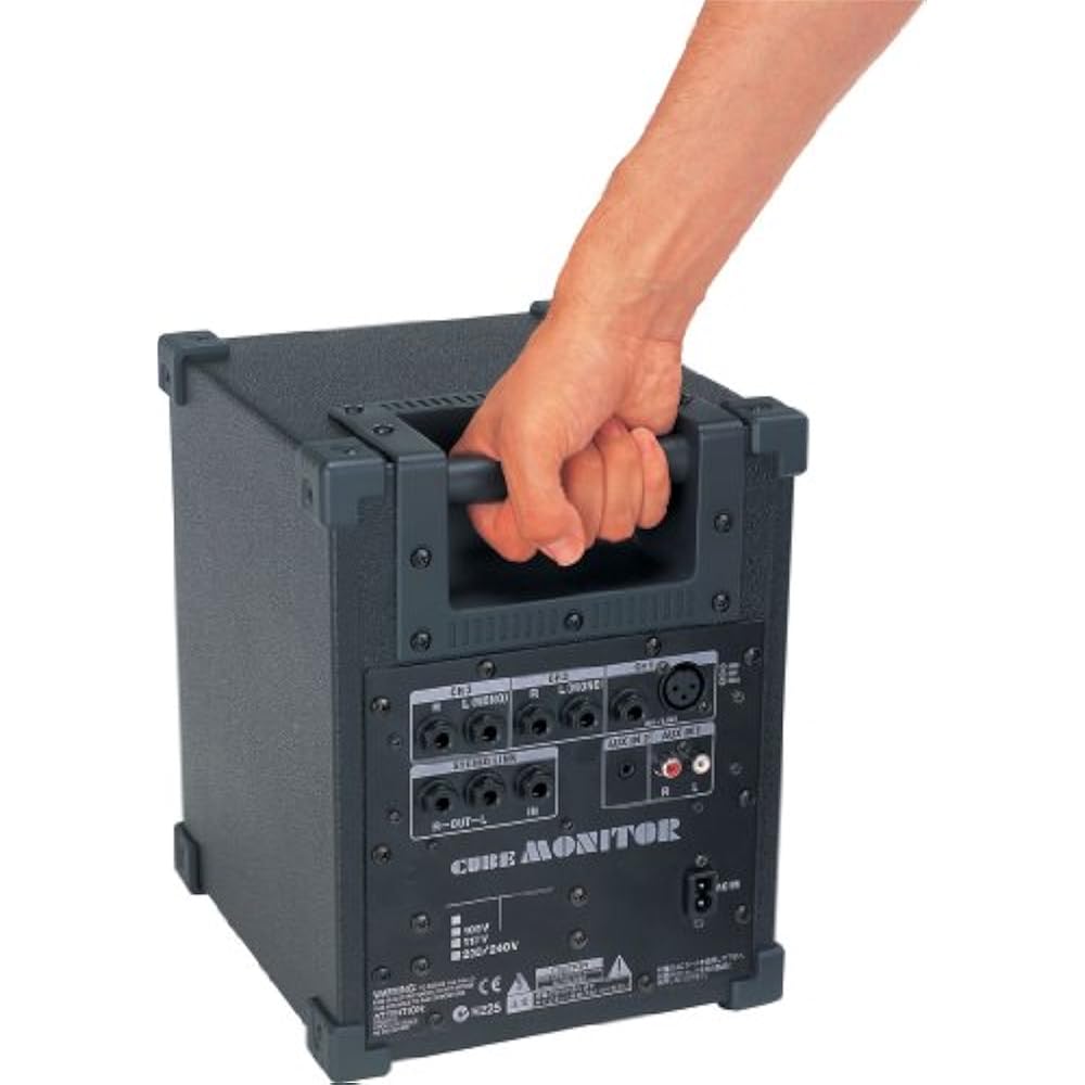 Roland Монитор куб 30 Вт CM-30