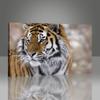 Картина Тигра