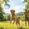Durable Interactive Dog Toy Soft Puppy Chew Toy Pet Accessories Dog Flying Disc  Outdoor Game
