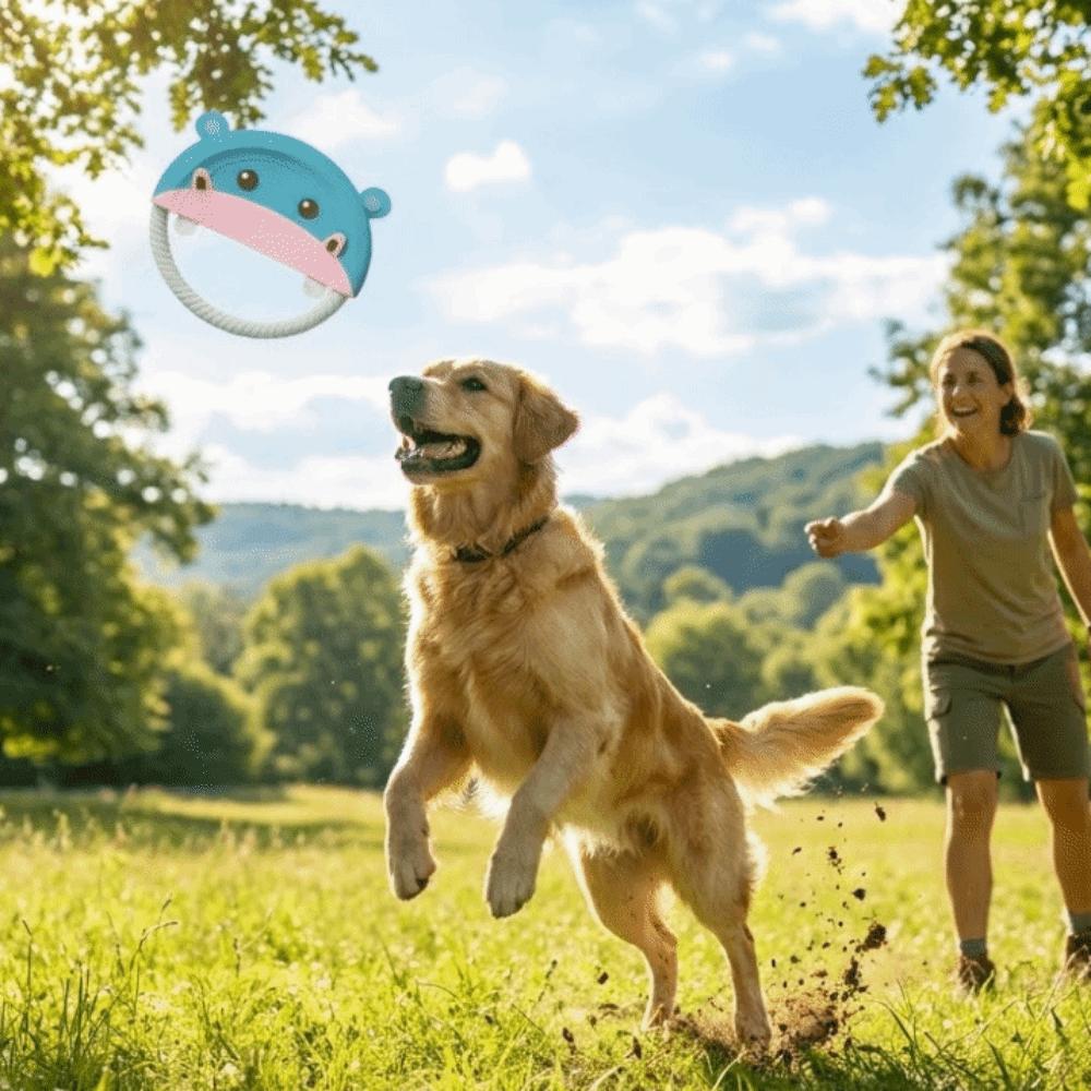 Durable Interactive Dog Toy Soft Puppy Chew Toy Pet Accessories Dog Flying Disc Outdoor Game