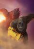 TAMASHII NATIONS Godzilla x New Empire Action Figure Kong (2024) S.H.MonsterArts