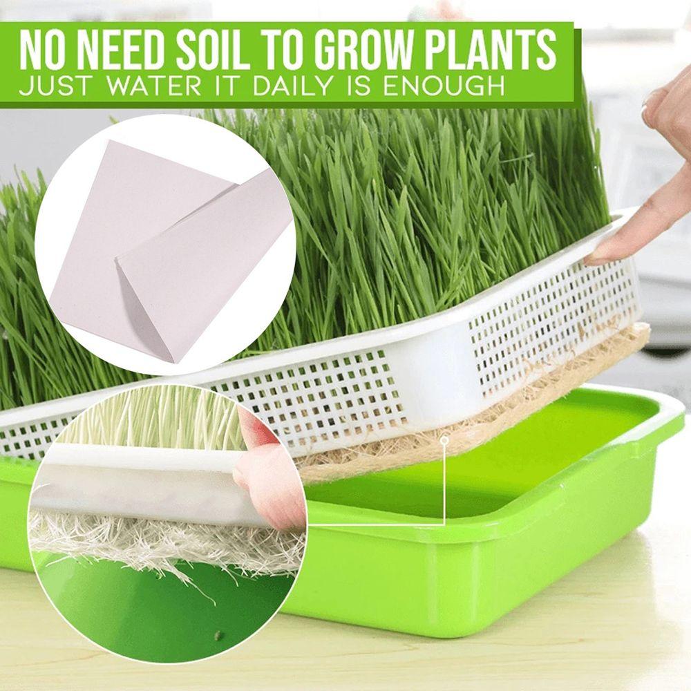Home Garden Nursery Paper Hydroponic Tray Sprout Pot Plant Box Grow Nursery Pots Seed Sprouter Tray