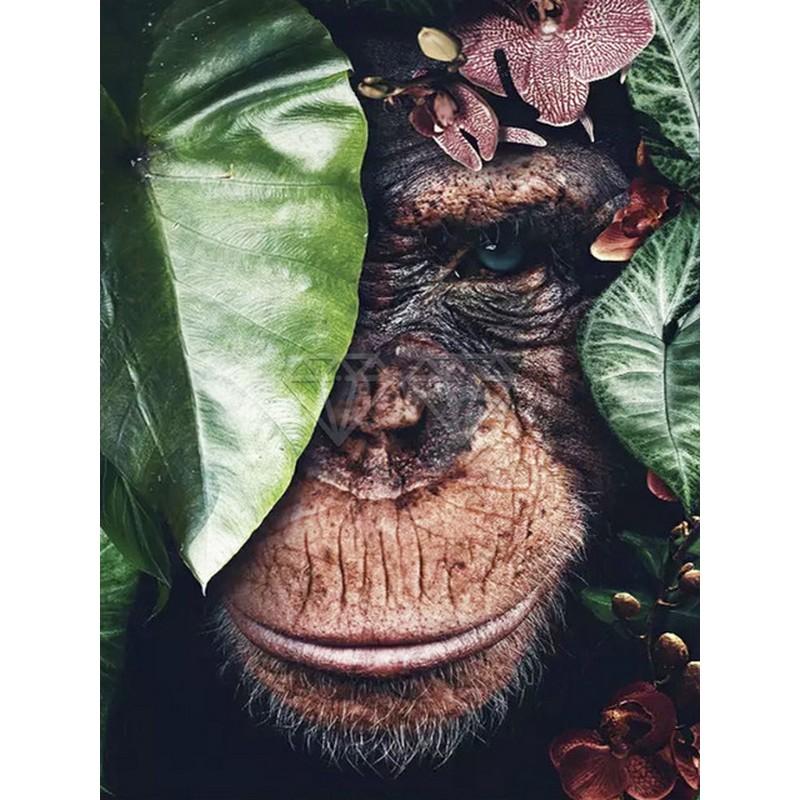 5D DIY комплект алмазной живописи краска цветок животное лиса волк кошка тигр полная круглая вышивка мозаика вышивка крестиком домашний декор