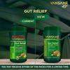 Vansaar Gut Relief Порошок без сахара 100 г | Аюрведическое средство для очищения желудка при запорах, газах, вздутии живота | Не вызывает привыкания, натуральная поддержка пищеварения