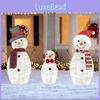 2d Inserted Snowman Led Lights For Christmas Decor For Courtyard Parties Terrace