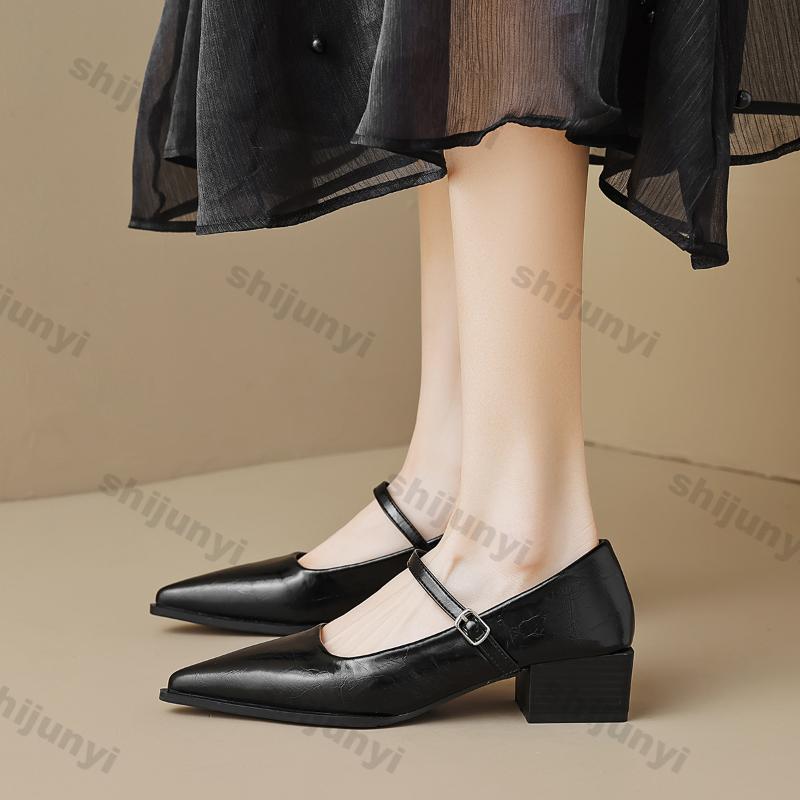 Women Chunky Heel Silver Mary Jane Shoes Spring New Women Pointed Toe Single Shoes Fashion Shallow Thick Heel Wedding Party Shoe