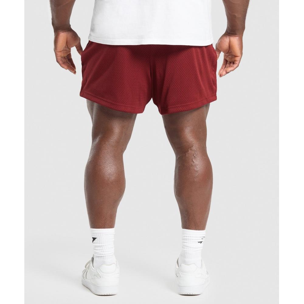 Gymshark Подъемная сетка 5 шорт наборы красные A1b9x Rb12