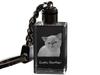 Exotic Shorthair - Crystal Pendant with Cat Photo, Illuminated Pendant, Unique Gift by Brand