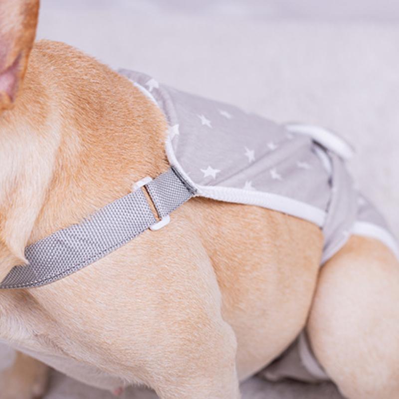 Fadou Female Dog Pants Female Teddy Keji Puppy Pug Menstrual Period Pet Safety Pants Big Aunt.