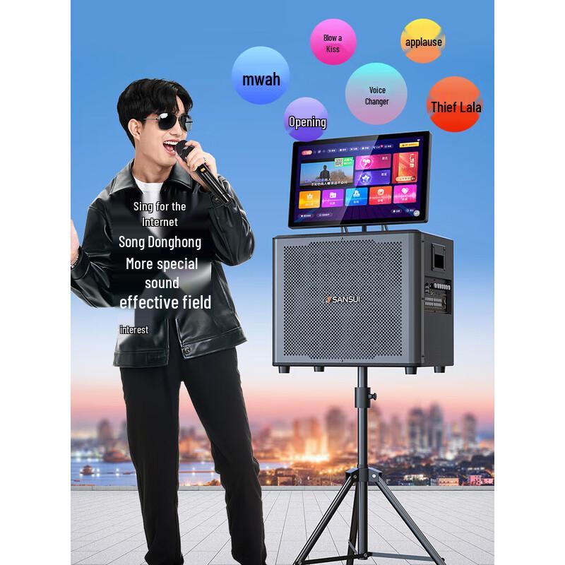 Портативная уличная KTV акустическая система SANSUI C15, штекер CN (адаптер в комплекте) (Китайская версия)
