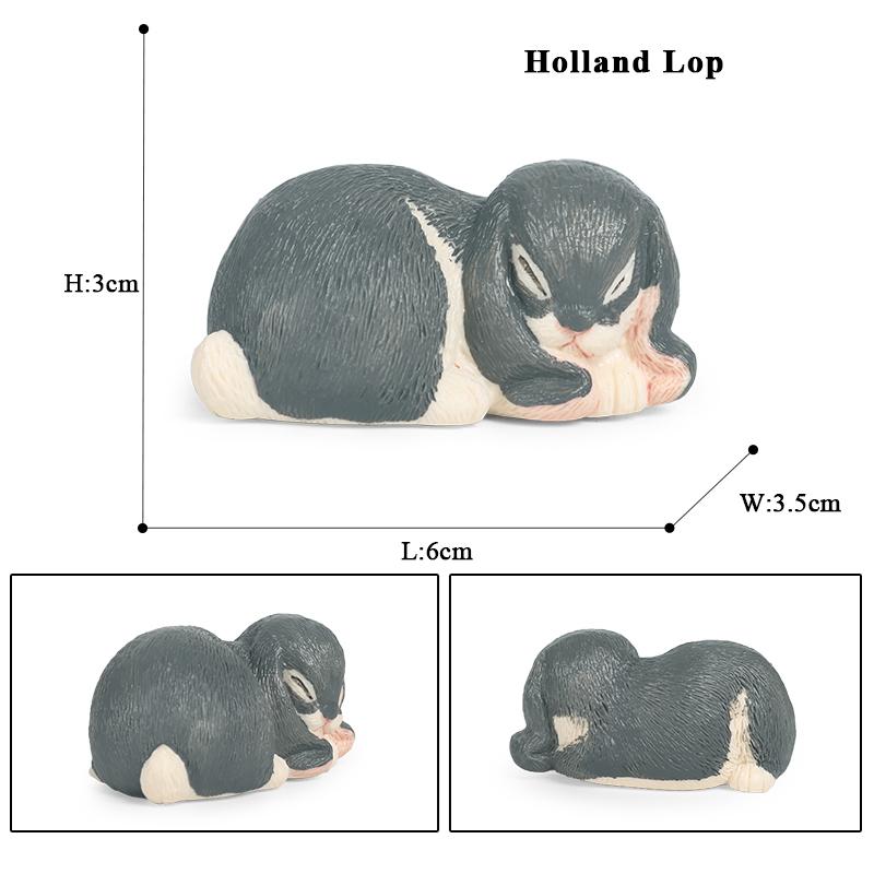 Oenux Lovely Farm Rabbit Bunny Model Action Figure Figurine Wild Desert Cottontail Hare Cute PVC Decoration Education Kid Toy