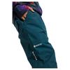 Burton Брюки Ballast Goretex 2L