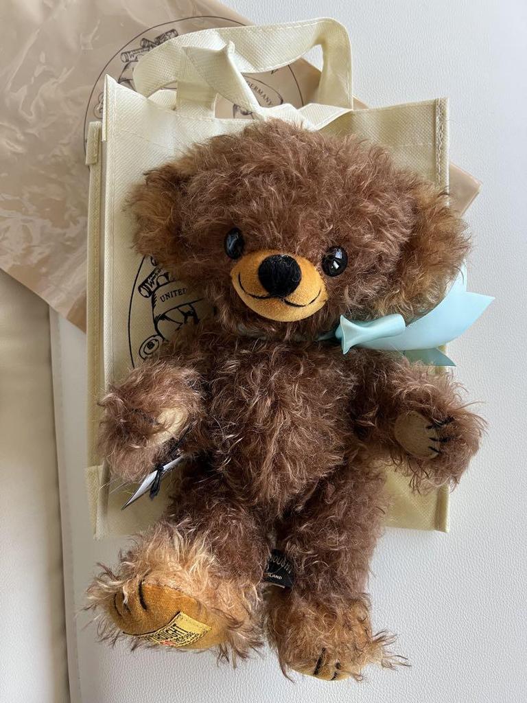 [USED] Merrythought Cheeky Teddy Bear Japan Exclusive