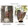 Children's Educational Eagle and Goshawk Animal Model Toy Set