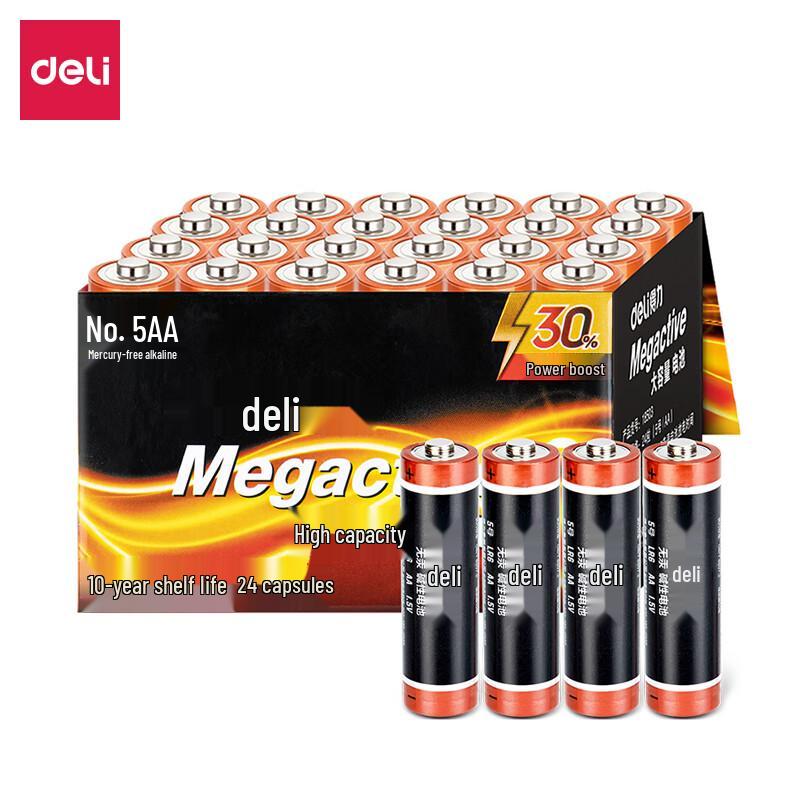 Deli AA Alkaline Batteries CN plug (adapter included)