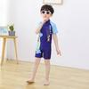 Kids Cartoon Swimsuit Boy One-Piece Quick-Drying Swimsuit