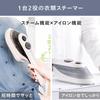 Twin Bird Clothes Handy Iron Hair Clothes Brush Ivory Steamer, & Steamer, Dezodoring, Desinfating, Brush, В комплекте, SA-4097VO