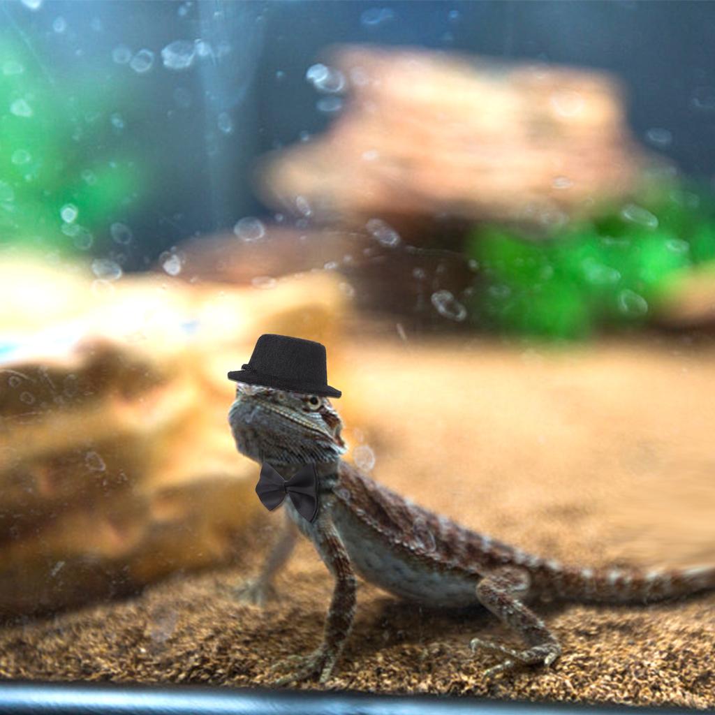 6 шт. регулируемый комплект шлейки и поводка для бородатого дракона, кожаный поводок для рептилий и ящериц с шляпой «летучая мышь» и галстуком-бабочкой для маленьких амфибий