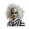Beetlejuice Unisex Adult Wig