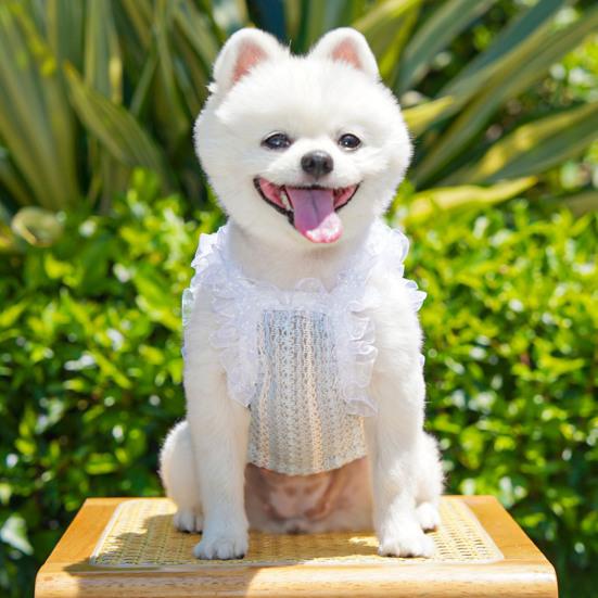 Pet Sleeveless Shirt Ruffle Collar Lace Bowknot Decor Breathable Spring Summer Small Medium Dog Cat Vest Clothes Outfit Apparel Pet Supplies