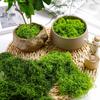 Искусственный зеленый мох для комнатных растений, Искусственный мох для комнатных растений, Искусственный мох для поделок, Искусственный мох Декор, Декоративный мох для DIY
