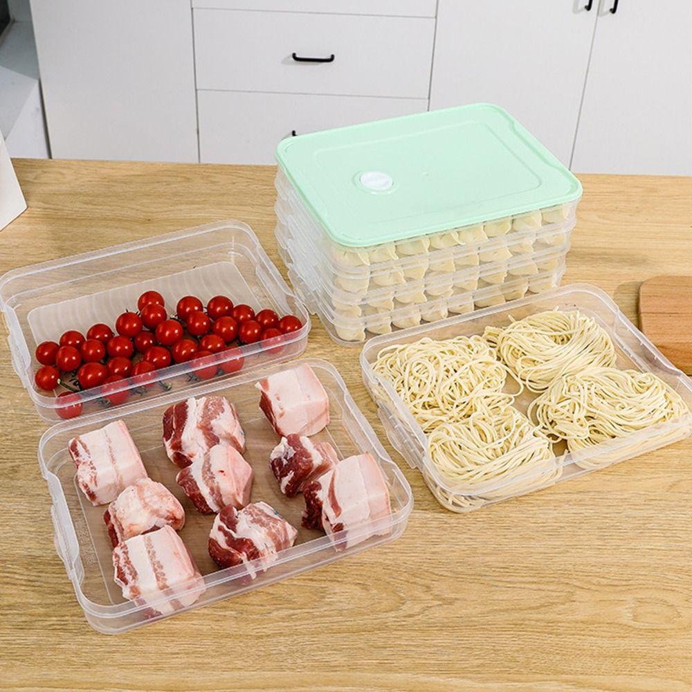 Transparent Dumpling Box Multi-Layer Food Freezer Storage Box Food Egg Frozen Box Refrigerator