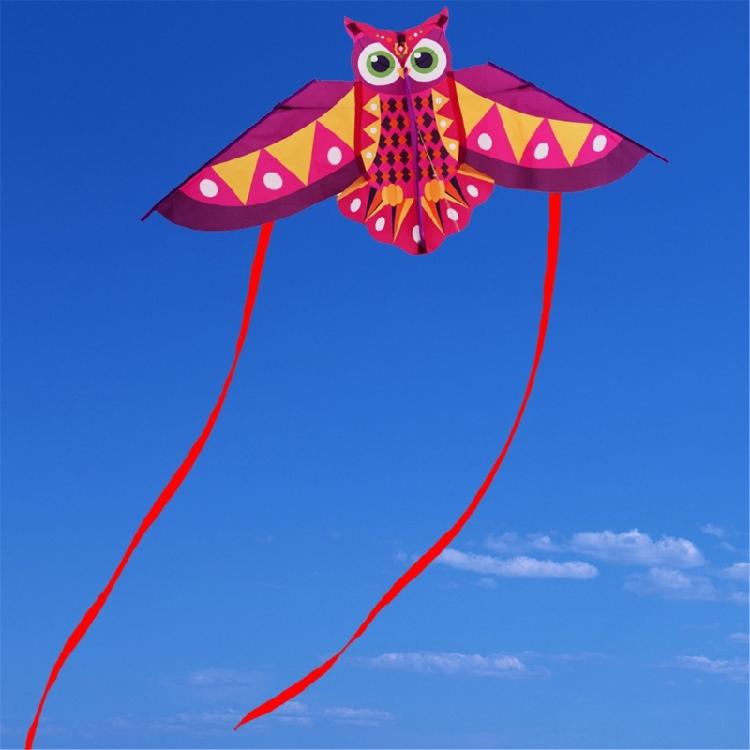 Owl Patterned Kites High Visibility Encourages Motor Skills Development Outdoor Exploration Gift