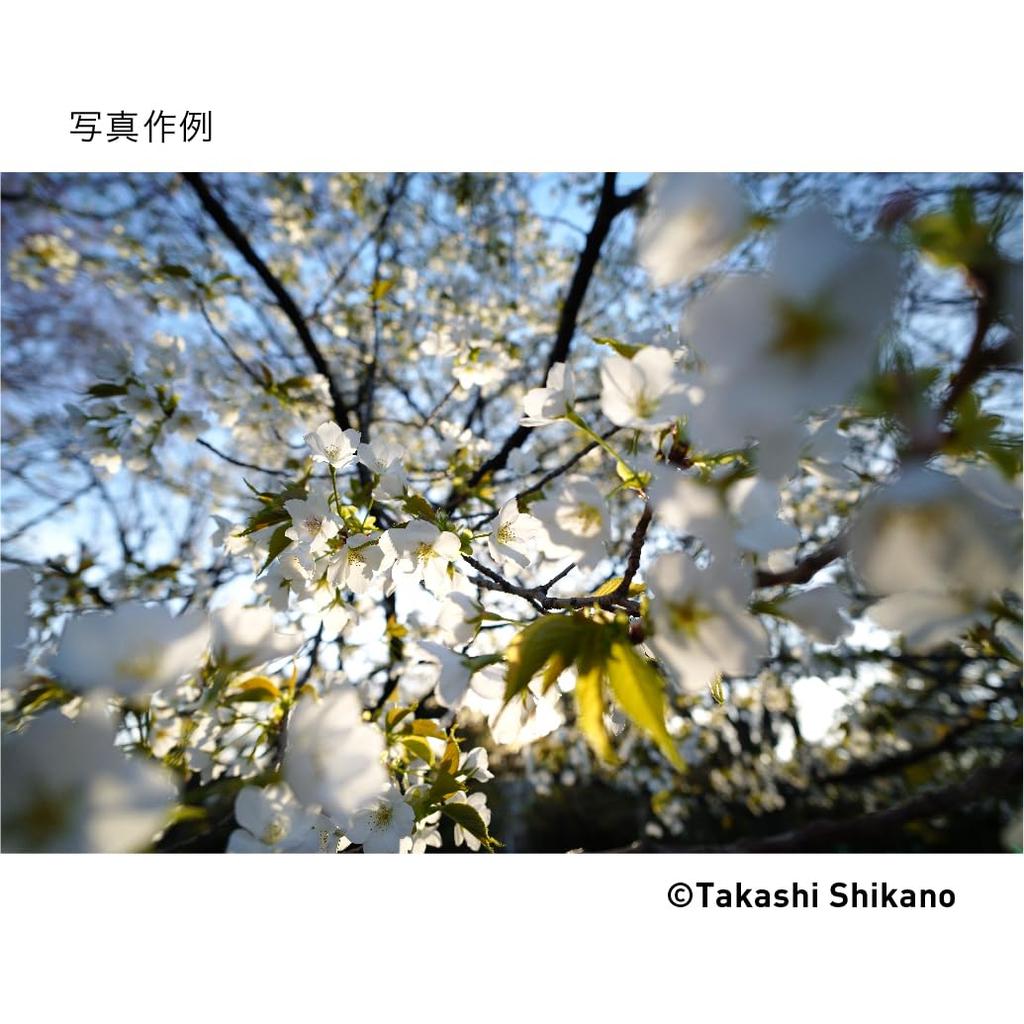 Sigma 17mm F4 DG DN Single for Mirrorless Contemporary Style Lens, L-Mount, Focus, Wide-Angle, Full-Frame Cameras,