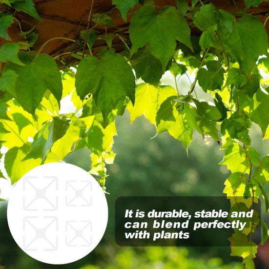 Подставка для стебля растения Акриловый держатель для стебля цветка Pothos Climbers Многоразовый держатель для стебля