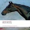 Black Beauty by Anna Sewell Paperback Book 9780199608522