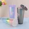 710ml Plastic Straw Cup Drinking Cup Double-Walled Water Tumbler with Lid Bubble Tea Cup Large Capacity for Home & Outdoor
