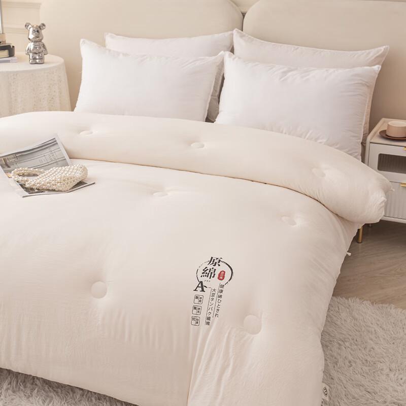 Plover Autumn Winter Natural Cotton Soybean Fiber Quilt