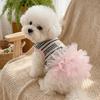 Thin Breathable Dog Cooling Vest Lace Skirt Pet T-shirt Fashion Puppy Princess Dress  Small Dogs