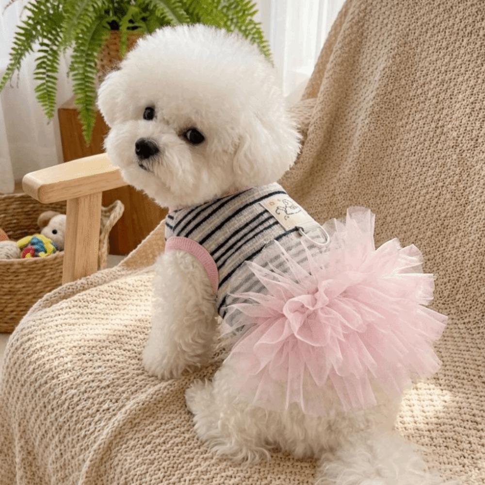 Thin Breathable Dog Cooling Vest Lace Skirt Pet T-shirt Fashion Puppy Princess Dress Small Dogs