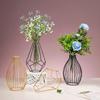 Скандинавский Ins Домашний Декор Железный Геометрический Стеклянный Ваза для Растений Цветов Декор Настольный Сухоцвет Декоративная Ваза