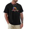 Rainbow Lorikeet Pairs And Feathers T-Shirt Vintage Graphic Tee Basketball Graphic Tees Compression Shirt Men