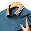 Spring and Autumn New Men's Long-Sleeved T-shirt Solid Color Bottoming Shirt Young and Middle-Aged Thin Menswear Lapel Loose Polo Shirt Fashion